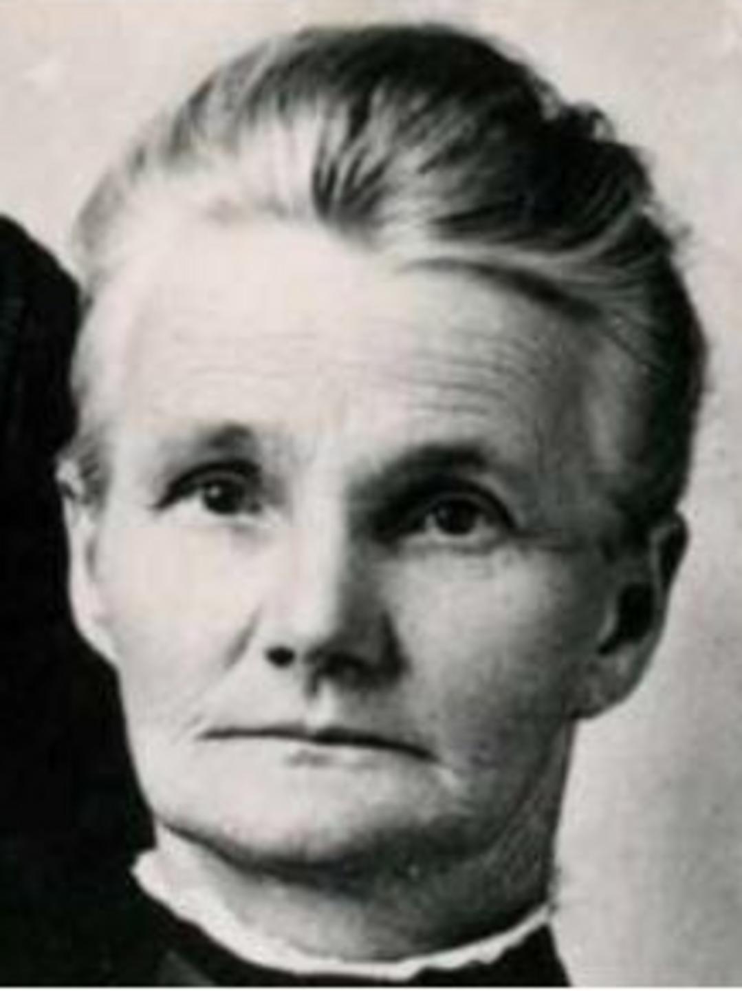 Sarah Ellen Wakefield (1854 - 1938) Profile